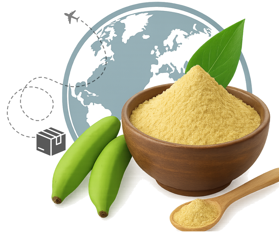 banana powder manufacturer