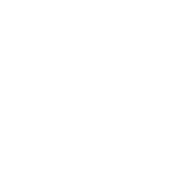 truck loaded by raw banana powder